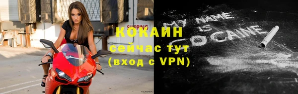 дживик Абинск