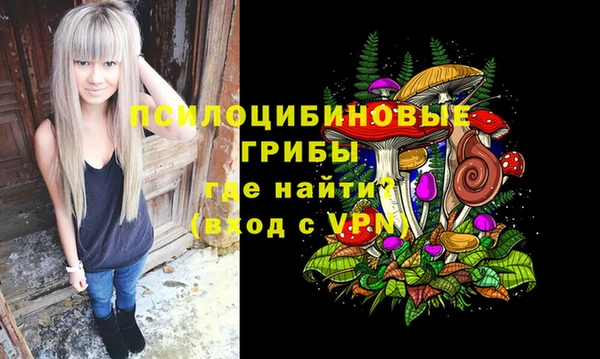 дживик Абинск