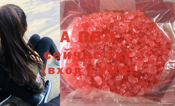 ECSTASY Абдулино