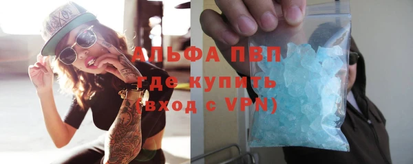 гидра Абаза