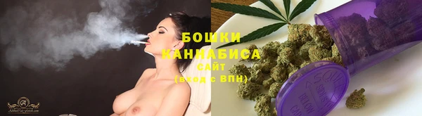 гидра Абаза