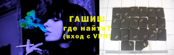 гидра Абаза