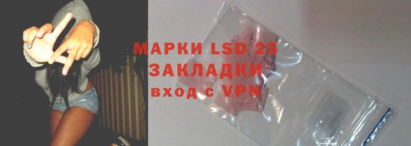 гидра Абаза