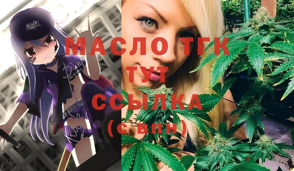 гидра Абаза