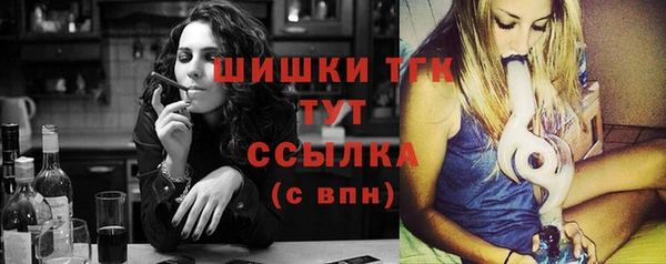 дживик Абинск