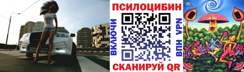 Псилоцибиновые грибы мухоморы магазин продажи Димитровград
