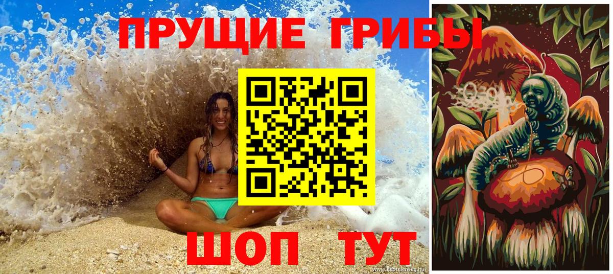 Димитровград  Псилоцибиновые грибы мицелий  Вход с VPN 
